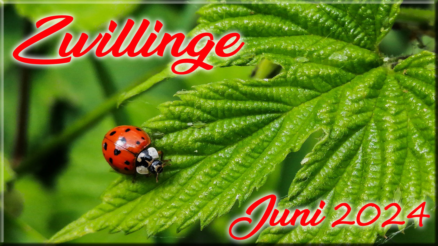 ♊ Zwillinge - Juni 2024 ♊